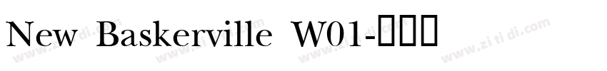New Baskerville W01字体转换